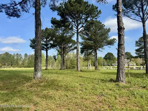 0001 Bozeman Rd, Madison, MS 39110 photo 6