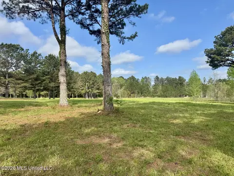 0001 Bozeman Rd, Madison, MS 39110 photo 5