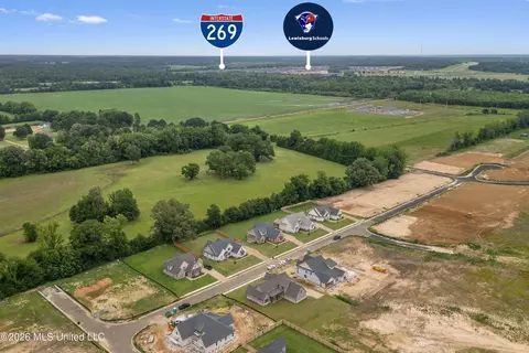 View/Area - 5381 Grayson Way, Hernando, MS 38632 photo 2 of 3