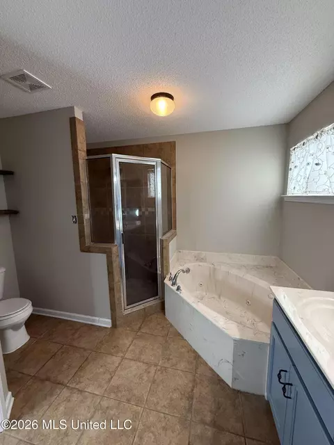 Bath - 406 S Vaiden Ridge Dr, Hernando, MS 38632 photo 2 of 2