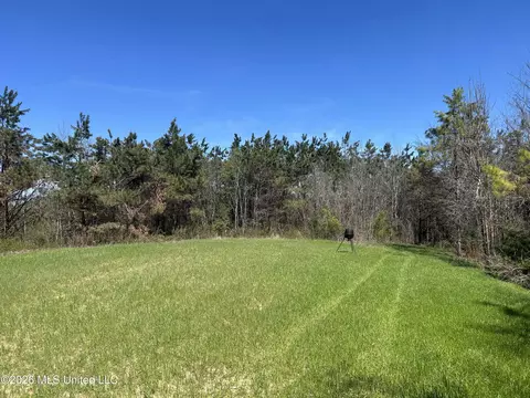 Mississippi 9, Blue Springs, MS 38828