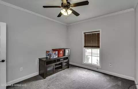 Other - 130 Grace Dr, Flowood, MS 39232 photo 9 of 11