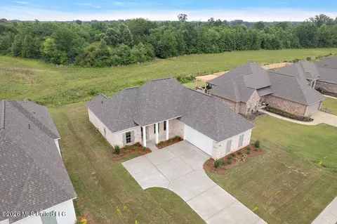 Other - 438 Baleigh Way, Canton, MS 39046 photo 7 of 8
