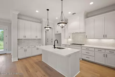 Kitchen - 438 Baleigh Way, Canton, MS 39046 photo 2 of 3