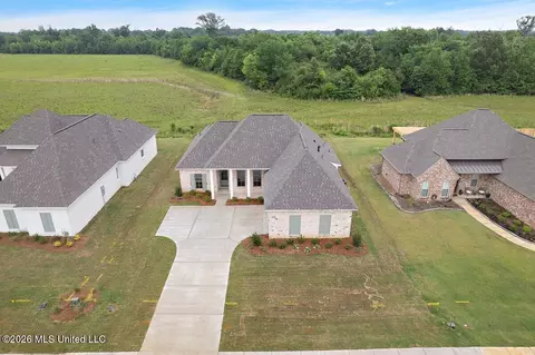 View/Area - 438 Baleigh Way, Canton, MS 39046 photo 5 of 5