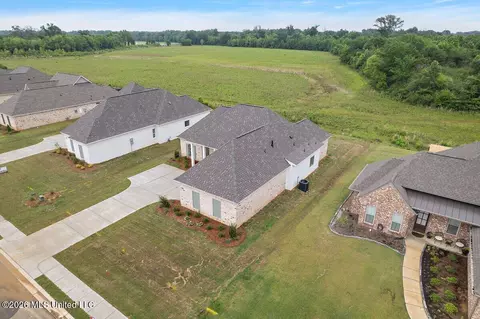 View/Area - 438 Baleigh Way, Canton, MS 39046 photo 1 of 5