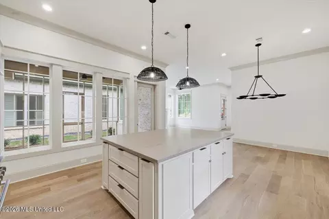 Other - 132 Water St, Madison, MS 39110 photo 1 of 6