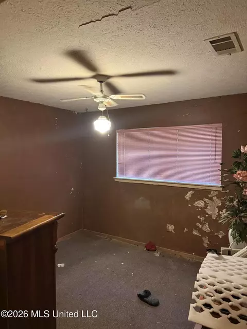 117 Delano Dr, Jackson, MS 39209 photo 5