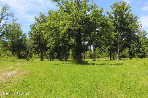 1711 Us 82, Eupora, MS 39744 photo 26