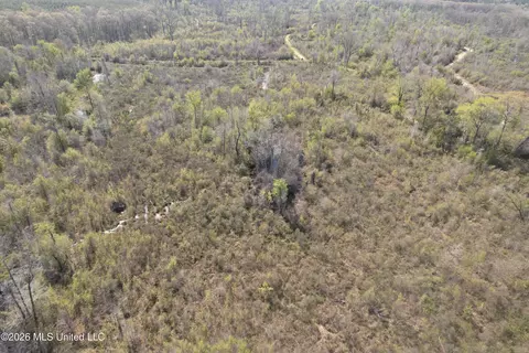 1711 Us 82, Eupora, MS 39744 photo 25