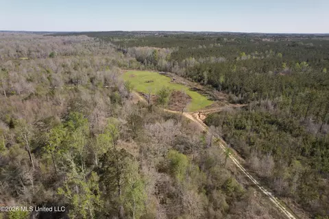 1711 Us 82, Eupora, MS 39744 photo 14