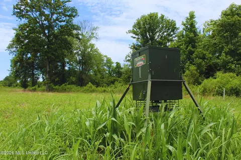 1711 Us 82, Eupora, MS 39744 photo 11