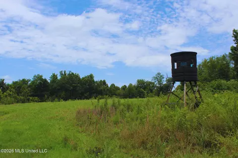 1711 Us 82, Eupora, MS 39744 photo 18