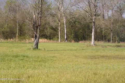 1711 Us 82, Eupora, MS 39744 photo 46