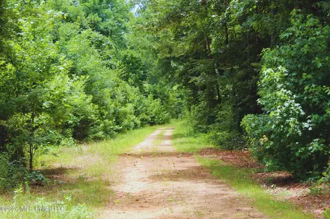 1711 Us 82, Eupora, MS 39744 photo 8