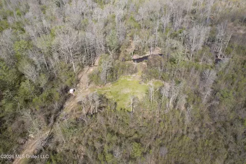 1711 Us 82, Eupora, MS 39744 photo 22