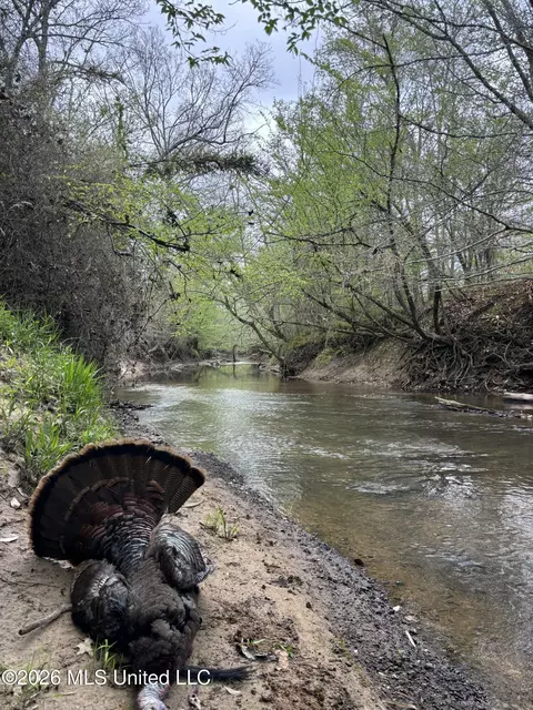 1711 Us 82, Eupora, MS 39744 photo 68