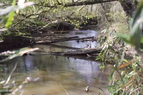 1711 Us 82, Eupora, MS 39744 photo 39