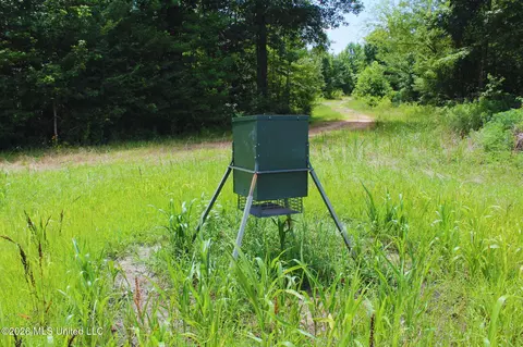 1711 Us 82, Eupora, MS 39744 photo 21