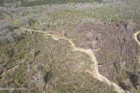 1711 Us 82, Eupora, MS 39744 photo 31