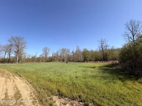 1711 Us 82, Eupora, MS 39744 photo 51