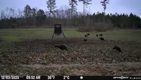 1711 Us 82, Eupora, MS 39744 photo 60