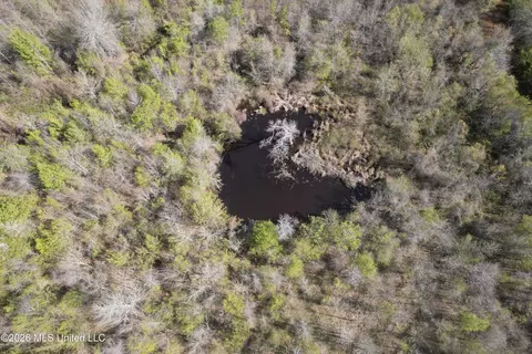 1711 Us 82, Eupora, MS 39744 photo 13
