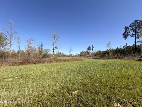 1711 Us 82, Eupora, MS 39744 photo 52