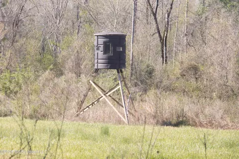 1711 Us 82, Eupora, MS 39744 photo 37