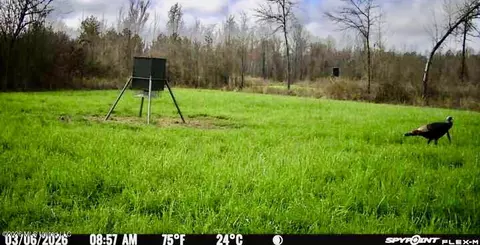 1711 Us 82, Eupora, MS 39744 photo 63