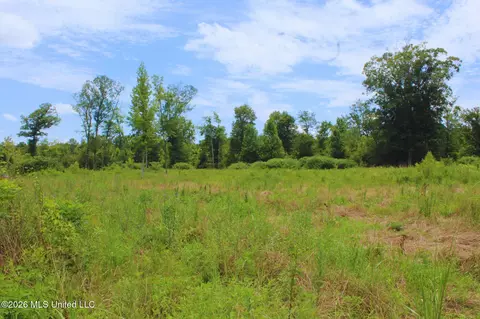 1711 Us 82, Eupora, MS 39744 photo 16