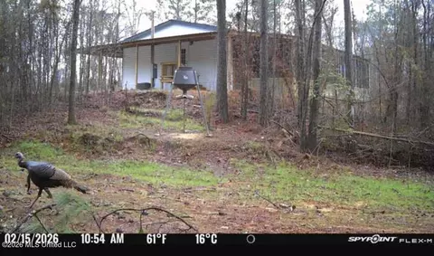 1711 Us 82, Eupora, MS 39744 photo 72
