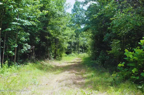 1711 Us 82, Eupora, MS 39744 photo 34