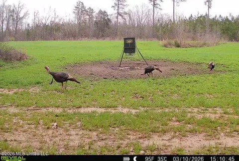 1711 Us 82, Eupora, MS 39744 photo 70
