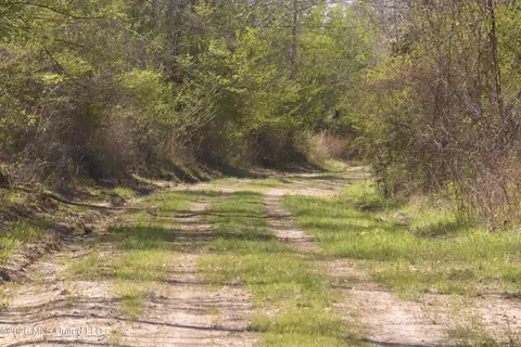 1711 Us 82, Eupora, MS 39744 photo 48