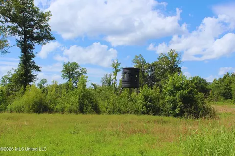 1711 Us 82, Eupora, MS 39744 photo 19