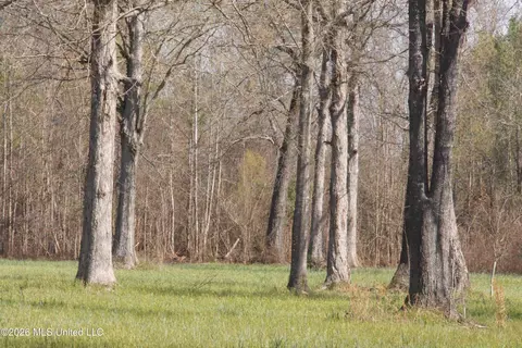 1711 Us 82, Eupora, MS 39744 photo 44
