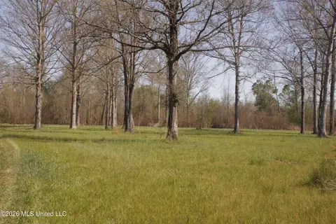 1711 Us 82, Eupora, MS 39744 photo 42