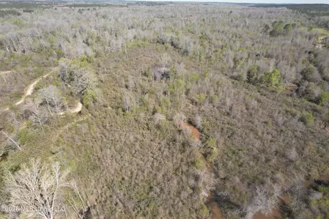 1711 Us 82, Eupora, MS 39744 photo 10