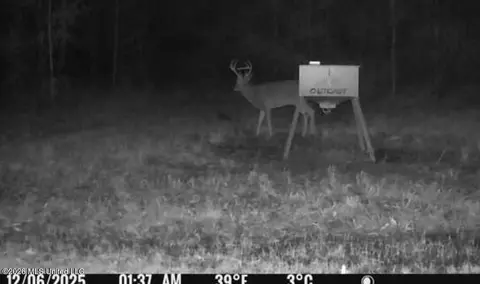 1711 Us 82, Eupora, MS 39744 photo 62