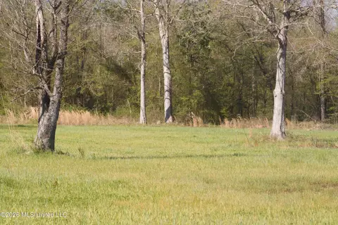 1711 Us 82, Eupora, MS 39744 photo 47