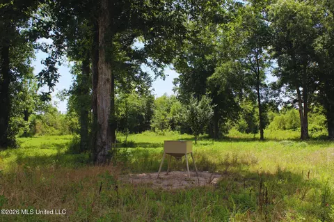 1711 Us 82, Eupora, MS 39744 photo 31
