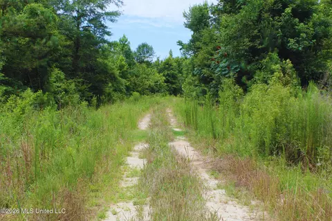 1711 Us 82, Eupora, MS 39744 photo 17
