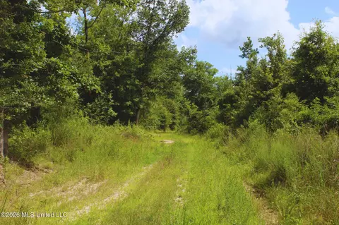 1711 Us 82, Eupora, MS 39744 photo 39