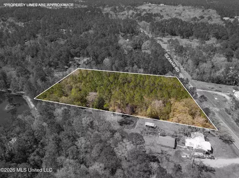 00 Seaman Rd, Vancleave, MS 39565 photo 20