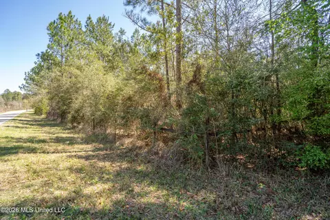 00 Seaman Rd, Vancleave, MS 39565 photo 4