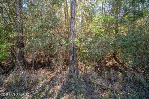 00 Seaman Rd, Vancleave, MS 39565 photo 5