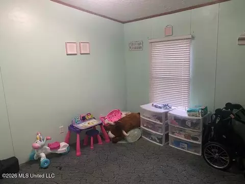 Other - 869 Pine Tree Dr, Senatobia, MS 38668 photo 9 of 15