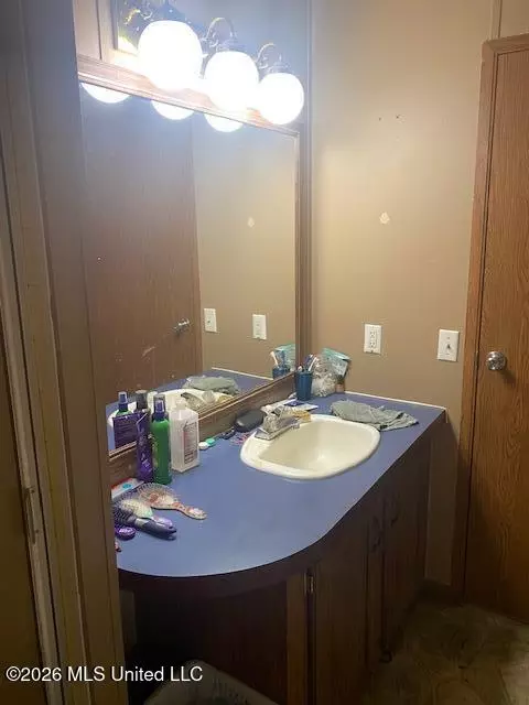 Bath - 869 Pine Tree Dr, Senatobia, MS 38668 photo 2 of 9