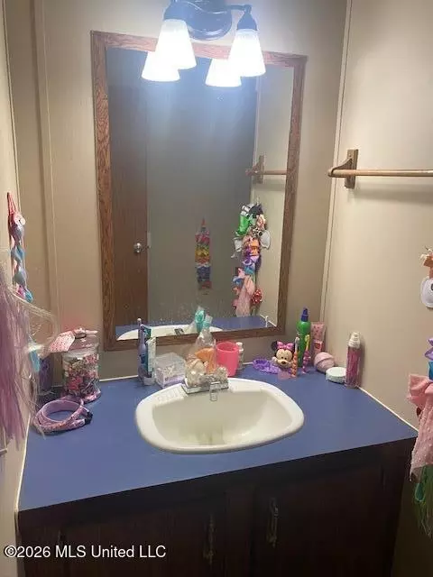 Bath - 869 Pine Tree Dr, Senatobia, MS 38668 photo 5 of 9